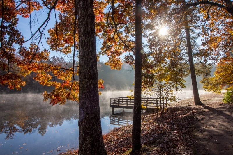 Things to Do in Cumberland Mountain State Park - Tattling Tourist