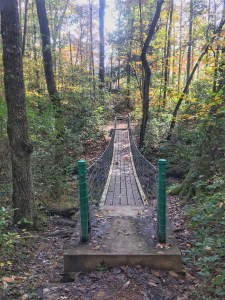 Cumberland Mountain State Park trails