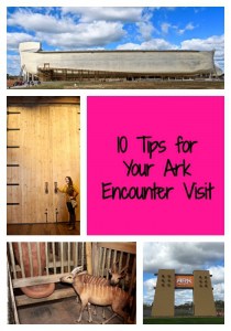 Ark Encounter tips