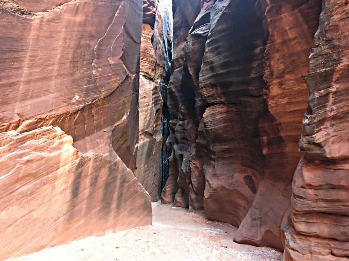 Your Guide to Wire Pass Slot Canyon - Tattling Tourist