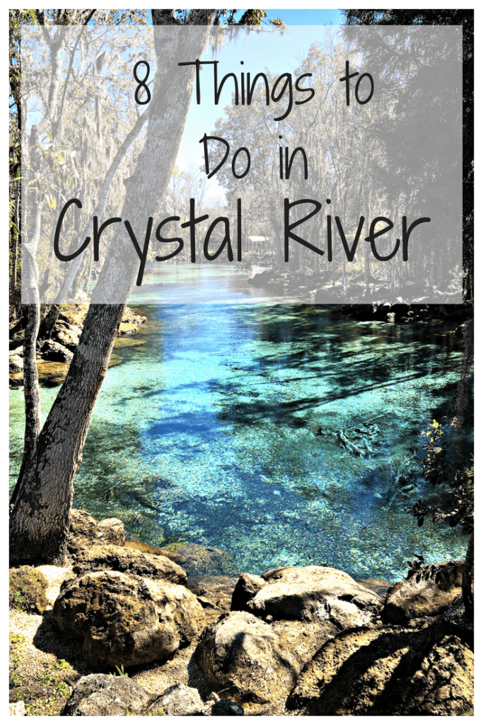 things to do in Crystal River