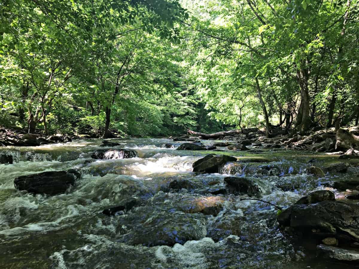 Your Guide to Window Cliffs State Natural Area - Tattling Tourist