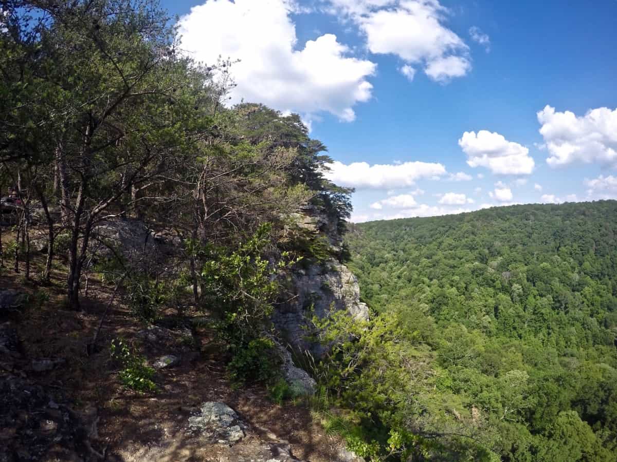 How to Hike the Fiery Gizzard Trail in Tracy City, Tennessee - Tattling ...