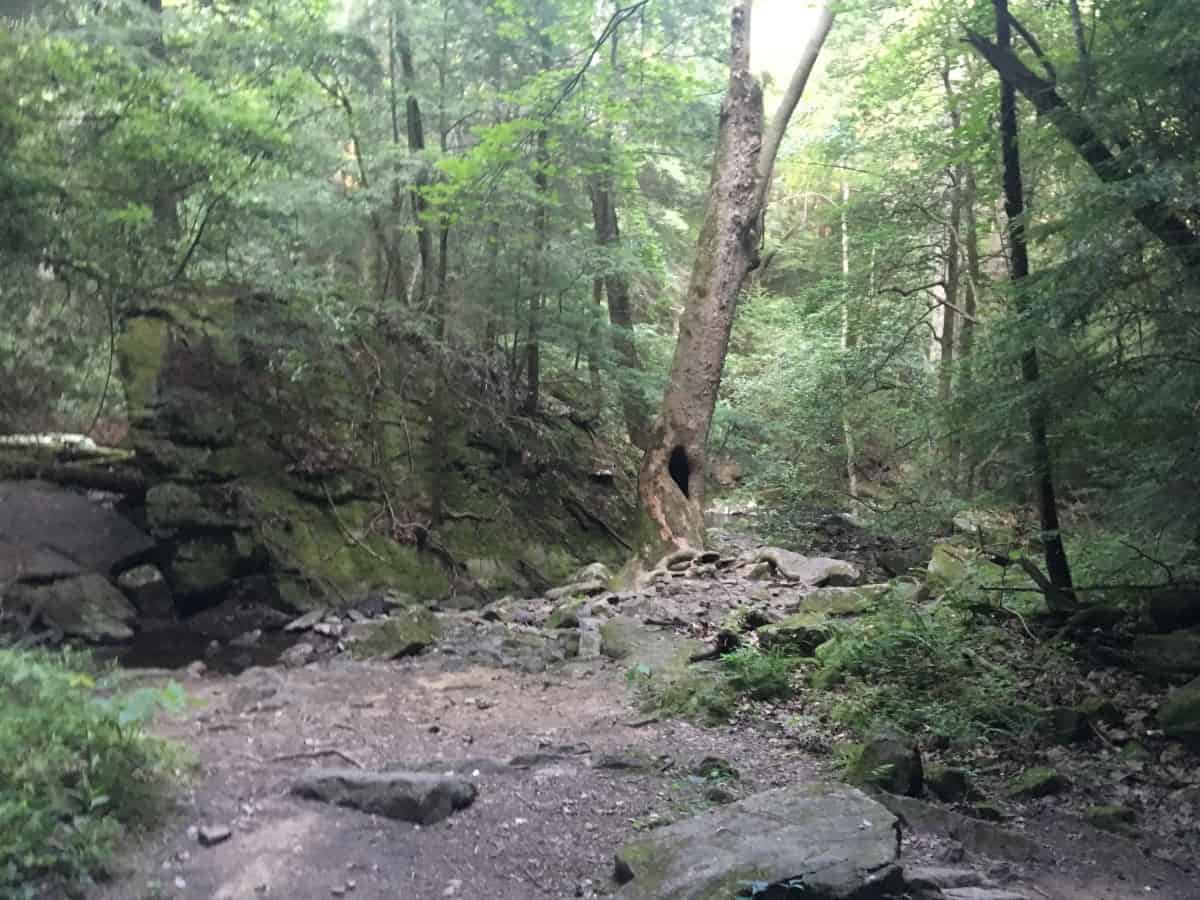 How to Hike the Fiery Gizzard Trail in Tracy City, Tennessee Tattling