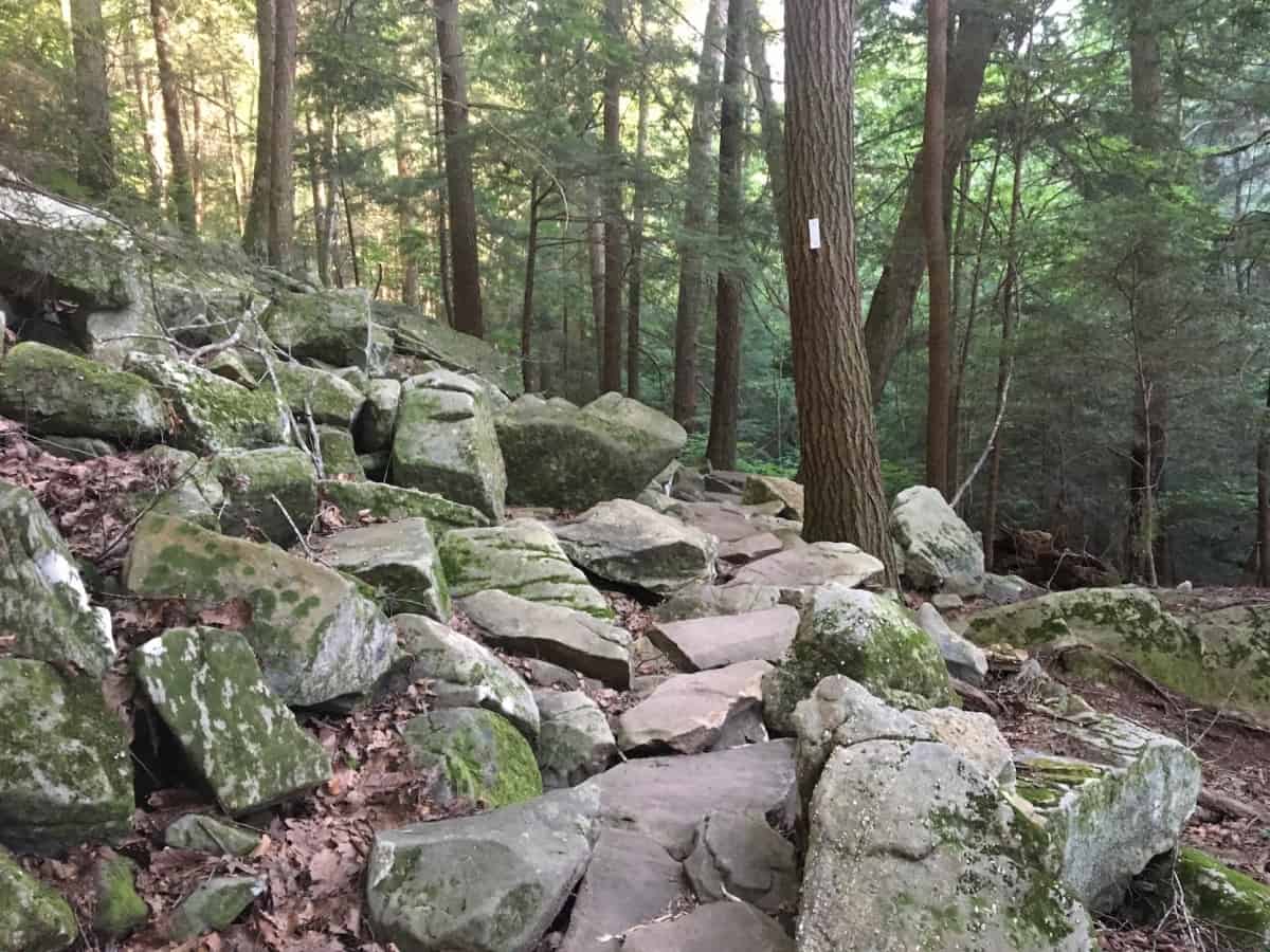 How to Hike the Fiery Gizzard Trail in Tracy City, Tennessee Tattling Tourist