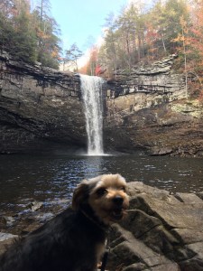 Tennessee waterfalls