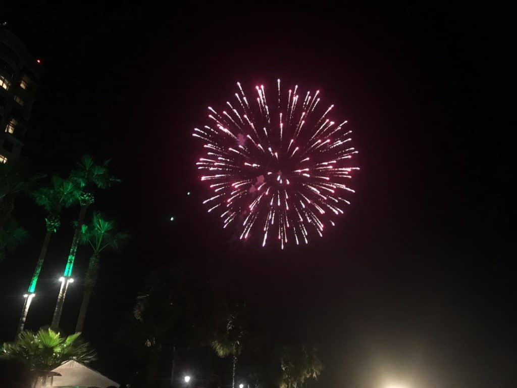 Savannah Fireworks