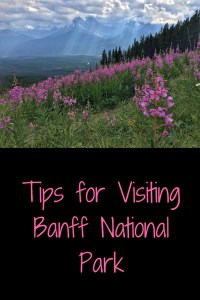 Tips for visiting Banff National Park