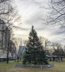 Nova Scotia Tree of Boston