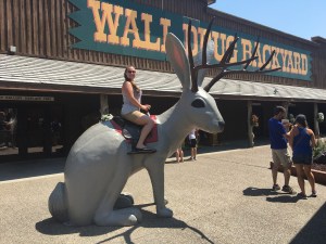 Wall drug store